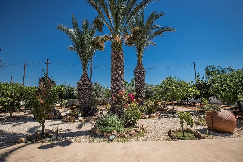 Villa Palm Serenity, Protaras, Cyprus – photo 27